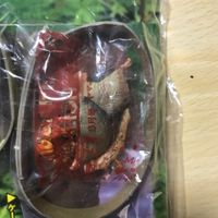 送料無料 全3種 セイスモモサウルス ワンダーフィギュアコレクション 小学二年生 2002年 付録 非売品 1904 s4-1 サムネイル 4