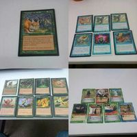 MTG ナルト まとめ naruto マジックザギャザリング 字レア 草陰の待ち伏せ 予報 淘汰 カード 30 不思議のバザ