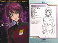 カード まとめ カードダスマスターズ ガンダムSEED ルナマリア ホーク メイリン 19 20 21 22 23 24 28 29 31 キャラクター設定ファイル サムネイル 3
