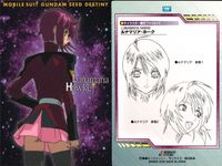 カード まとめ カードダスマスターズ ガンダムSEED ルナマリア ホーク メイリン 19 20 21 22 23 24 28 29 31 キャラクター設定ファイル サムネイル 8