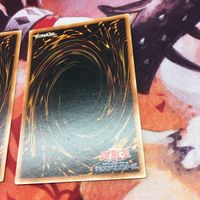IT220125-317 遊戯王 N・アクア・ドルフィン スーパーレア まとめ サムネイル 6