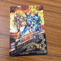 カード トレカ まとめ ガンバライジング SR ビルド グリス 17 サムネイル 10