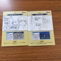 鋼の錬金術師 ハガレン カード トレカ カードダスマスターズ まとめ エド アームストロング クローゼ リビア クララ 1 サムネイル 4