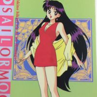 セーラームーン 美少女戦士セーラームーン カード アマダ 236 247 244 248 あやかし 孤独なうさぎ 遊びはこれ サムネイル 4