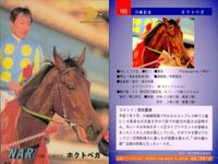 カード ホースレーシング まとめ スキーキャプテン ビワハヤヒデ マックスフリート ホクトベガ 福永祐一 イクイ リメイ 競馬 馬 バンダイ bandai サムネイル 5