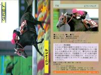 カード ホースレーシング まとめ スキーキャプテン ビワハヤヒデ マックスフリート ホクトベガ 福永祐一 イクイ リメイ 競馬 馬 バンダイ bandai サムネイル 3