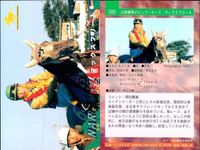 カード ホースレーシング まとめ スキーキャプテン ビワハヤヒデ マックスフリート ホクトベガ 福永祐一 イクイ リメイ 競馬 馬 バンダイ bandai サムネイル 4