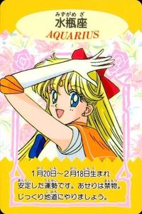 Sailor Moon Ami Mizuno Aquarius Card Amada Vintage