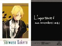 カード 特典 まとめ ツキウタ ぱしゃこれ まとめ 箔押し サイン BOX サムネイル 7