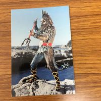 カルビー 仮面ライダー カード まとめ 27 サムネイル 7