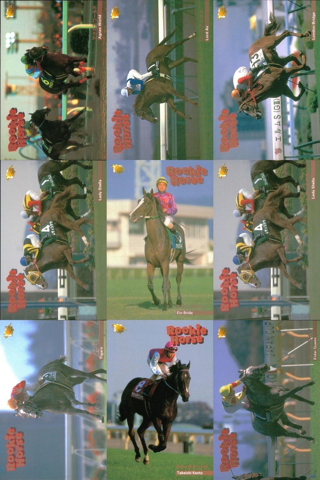 競馬 カード ホースレーシング まとめ アグネスワールド ロードアックス ブリッジ テラ アインブライド テラ フィガロ ケントウ エイダイクイン バンダイ