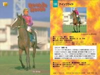 競馬 カード ホースレーシング まとめ アグネスワールド ロードアックス ブリッジ テラ アインブライド テラ フィガロ ケントウ エイダイクイン バンダイ サムネイル 6