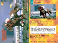 競馬 カード ホースレーシング まとめ アグネスワールド ロードアックス ブリッジ テラ アインブライド テラ フィガロ ケントウ エイダイクイン バンダイ サムネイル 4