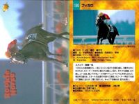 競馬 カード ホースレーシング まとめ アグネスワールド ロードアックス ブリッジ テラ アインブライド テラ フィガロ ケントウ エイダイクイン バンダイ サムネイル 8