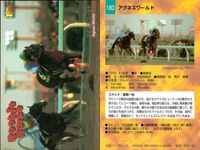競馬 カード ホースレーシング まとめ アグネスワールド ロードアックス ブリッジ テラ アインブライド テラ フィガロ ケントウ エイダイクイン バンダイ サムネイル 2