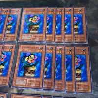 初期 Vol.5 レインボー・フラワー 型番統一 30枚 ノーマル 遊戯王 まとめ 第1期 サムネイル 3