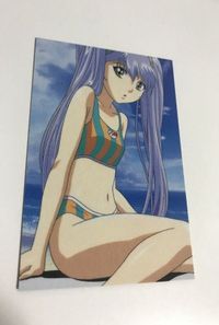 anime-66 カード 機動戦艦ナデシコ ホシノルリ アニメディア99年7月号付録 非売品 水着