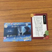 カード トレカ まとめ 鬼滅の刃 累 鬼舞辻 無惨 胡蝶 しのぶ 冨岡 義勇 我妻 善逸 竈門 炭治郎 煉獄 杏寿郎 非売品 プロモ 9 サムネイル 6