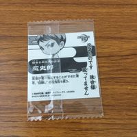 カード トレカ まとめ 鬼滅の刃 不死川 実弥 竈門 炭治郎 嘴平 伊之助 癒史郎 伊黒 小芭内 8 サムネイル 10
