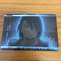 タイガ & バニー カード まとめ 鏑木 T 虎徹 ワイルドタイガー 23 サムネイル 2