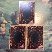 遊戯王 カード まとめ ZW－玄武絶対聖盾 2 サムネイル 4