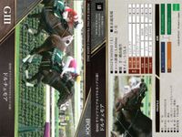 カード ホースレーシング まとめ ダイアトニック ホッコーメヴィウス スタニングローズ ドルチェモア オオバンブルマイ ジュンライトボルト ガストリック ジュンライトボルト ダイアトニック 競馬 馬 EPOCH 2020 サムネイル 5