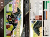 カード ホースレーシング まとめ ダイアトニック ホッコーメヴィウス スタニングローズ ドルチェモア オオバンブルマイ ジュンライトボルト ガストリック ジュンライトボルト ダイアトニック 競馬 馬 EPOCH 2020 サムネイル 10
