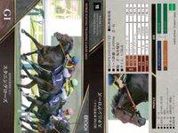 カード ホースレーシング まとめ ダイアトニック ホッコーメヴィウス スタニングローズ ドルチェモア オオバンブルマイ ジュンライトボルト ガストリック ジュンライトボルト ダイアトニック 競馬 馬 EPOCH 2020 サムネイル 4