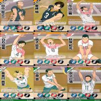 ハイキュー バボカ カード まとめ ★リスト参考 ノーマル ap846 サムネイル 4