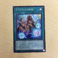 遊戯王 字レア カード トレーディングカード アマゾネスの秘術 まとめ サムネイル 3
