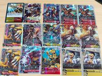 デジモンカード デジモン カード ライズグレイモン SR BT4ー017 シャイングレイモン バーストモード sr BT13-020 EX4-023 アグモン博士 BT14-007 ちゅうてつ ウォーグレイモン ブリッツグレイモン