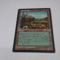 MTG トレーディングカード マジックザギャザリング カード まとめ マイナーカード 湿原の大河 非売品 土地 レア サムネイル 2