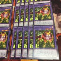 神碑の牙フレーキ 型番統一 40枚 まとめ ノーマル 遊戯王 DABL-JP041 ルーン サムネイル 5