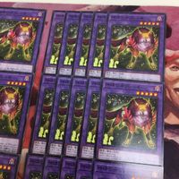 神碑の牙フレーキ 型番統一 40枚 まとめ ノーマル 遊戯王 DABL-JP041 ルーン サムネイル 3