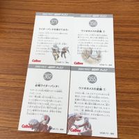 仮面ライダー カード まとめ 55 サムネイル 6