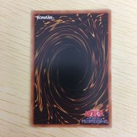 遊戯王 ノーマル カード トレーディングカード ダイノルフィアブルート まとめ サムネイル 9
