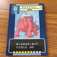 ドラゴンクエスト トレーディング カード バトル トレカ まとめ ドラゴンソルジャー シャドーサタン マッドロン エビルポット 15 サムネイル 8