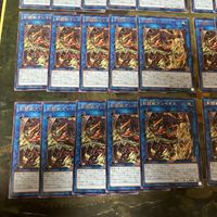 剣闘獣ダレイオス グラディアルビースト 型番統一 40枚 字レア SUDA 遊戯王 まとめ サムネイル 4