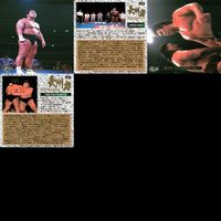 カード BANDAI 1998 新日本プロレス カード 長州力 20枚 まとめ fksi 1024 サムネイル 6