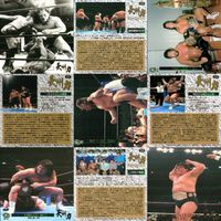 カード BANDAI 1998 新日本プロレス カード 長州力 20枚 まとめ fksi 1024 サムネイル 4