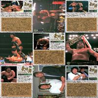 カード BANDAI 1998 新日本プロレス カード 長州力 20枚 まとめ fksi 1024 サムネイル 5