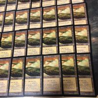 MTG Drifting Meadow 40 Urza's Saga Land Japanese Lot サムネイル 5