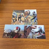 仮面ライダー カード まとめ 47 サムネイル 1