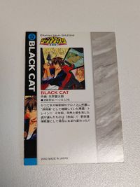 ブラックキャット カード ウィークリージャンプ ジャンプ 矢吹健太朗 サムネイル 2