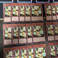 シビレルダケ 40枚 型番統一 遊戯王 まとめ ノーマル INFO サムネイル 2