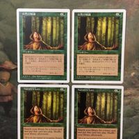 MTG マジックザギャザリング カード まとめ 5ED 自然の知識/Nature's Lore 4枚セット 82 サムネイル 3