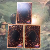 遊戯王 カード まとめ ZW－玄武絶対聖盾 16 サムネイル 5