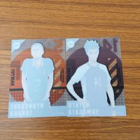 Haikyuu Card Lot Rynosuke Tanaka Yuu Nishinoya Anime サムネイル 4