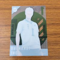 Haikyuu Card Lot Rynosuke Tanaka Yuu Nishinoya Anime サムネイル 8