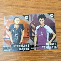 Haikyuu Card Lot Rynosuke Tanaka Yuu Nishinoya Anime サムネイル 3
